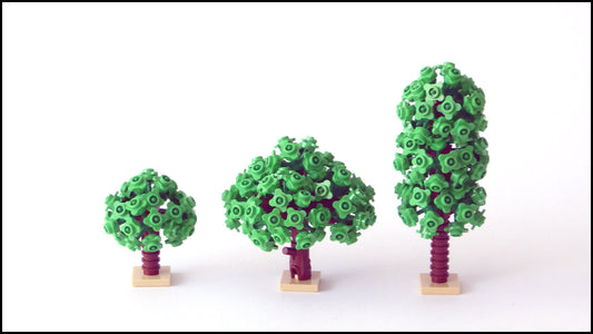 Nuts to Carbon update – May 2020