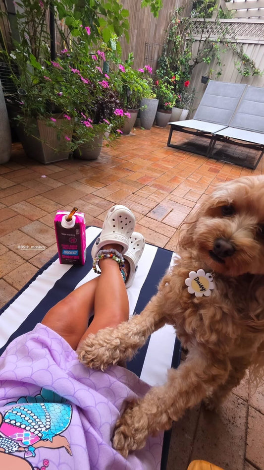 Why 99th Monkey Protein Smoothies Belong in Your Beach Bag